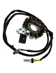 Stator 300-75 dirt bike T4 300 KAYO