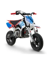 pit-bike-ycf-sm-88s-pl1.jpg