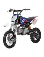 pit-bike-ycf-start-125se2.jpg