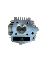 1glowica-uzbrojona-pitbike-88s88se-ycf.webp