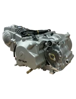 2silnik-140-polautomatyczny-z-rozrusznikiem-pitbike-mrf.jpg