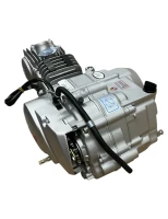 silnik-120-pitbike-kayo.jpg
