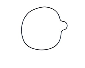 O-ring pokrywy sprzęgła Daytona YCF