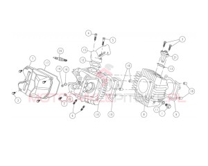 O-ring głowicy Daytona YCF
