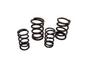 Sprężyny zaworowe 170 MRF