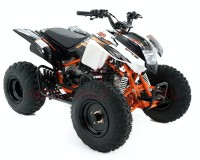 Quad Kayo A180