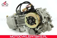 Silnik 190 cm3 Anima Daytona 4v FDS YCF