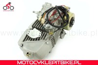 Silnik 190 cm3 Anima Daytona 4v FDS YCF