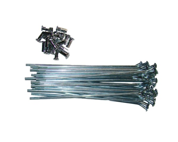 Szprychy 12' - 12 cm (28 szt.) YCF
