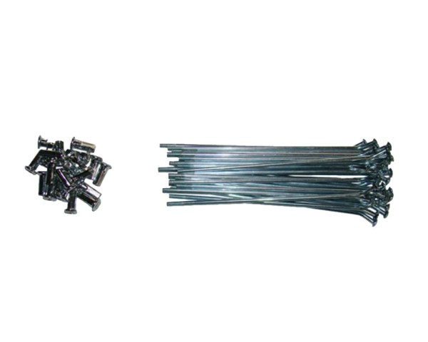Szprychy 12' - 13,5 cm (32 szt.) YCF