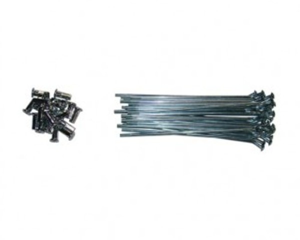 Szprychy 14' - 14,4 cm (32 szt.) YCF
