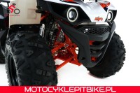 Quad Kayo dla dzieci AU 110 - motocyklepitbike.pl-46.jpg