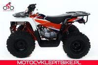 Quad Kayo dla dzieci AU 110 - motocyklepitbike.pl-52.jpg