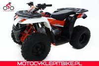 Quad Kayo dla dzieci AU 110 - motocyklepitbike.pl-55.jpg