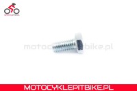 Śruba zębatki rozrządu Kayo 155 MRF - motocyklepitbike.pl.jpg