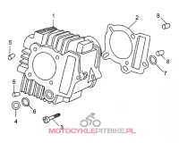 O-ring cylindra (mod2) 120 MRF