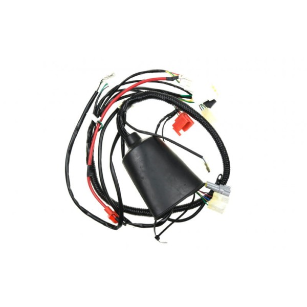 Wiązka elektryczna Kayo AY70