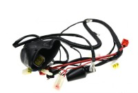 Wiązka elektryczna Kayo AT110/AU110