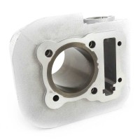 Cylinder silnika Kayo AU200