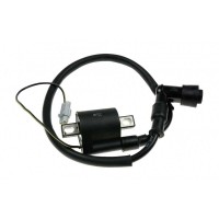 Cewka zapłonowa + fajka Kayo