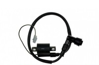 Cewka zapłonowa + fajka Kayo