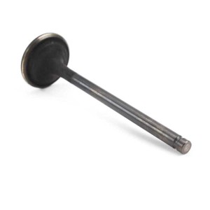 Zawór wydechowy T2 Kayo