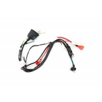 Wiązka przewodów z rozrusznikiem TS90 Kayo