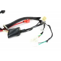 Wiązka przewodów z rozrusznikiem TS90 Kayo