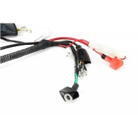 Wiązka przewodów z rozrusznikiem TS90 Kayo